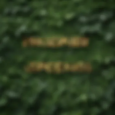 Green foliage with imazapyr herbicide brand names