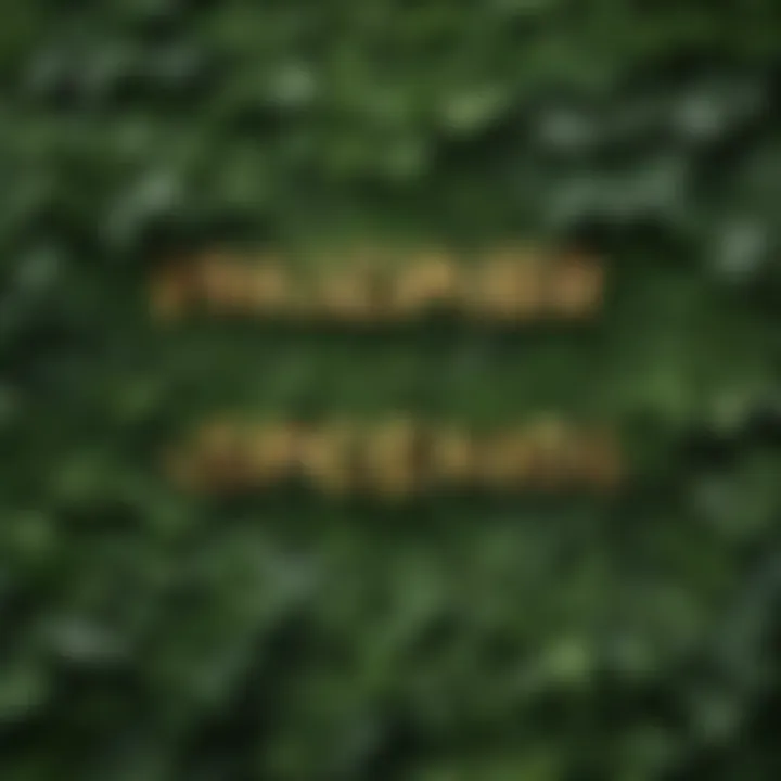 Green foliage with imazapyr herbicide brand names