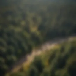 Aerial view of lush American forest under climate change impact