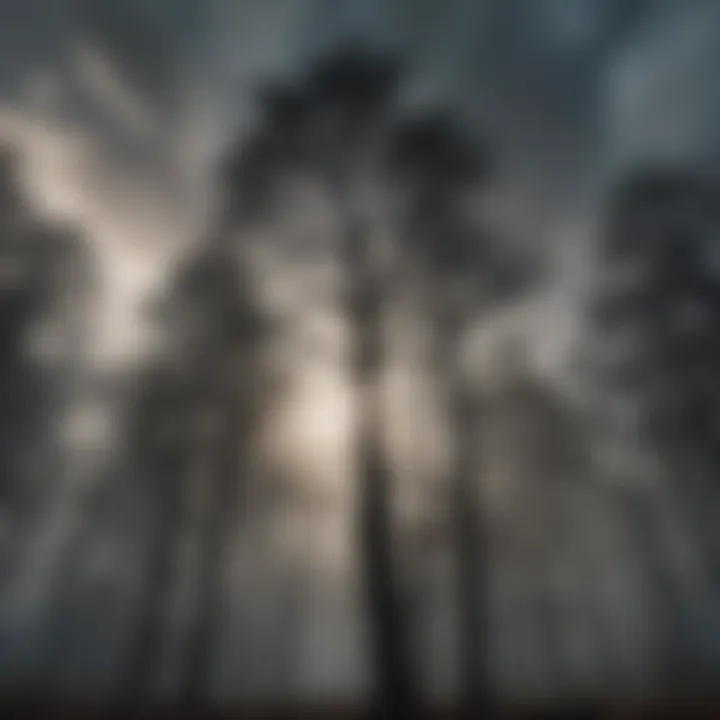 Silhouette of trees against dramatic sky representing climate change challenges