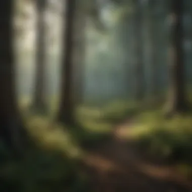 Sustainable Forest Management with Chlormequat Chloride Conceptual illustration of sustainable forest management
