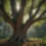 Illustration of intricate tree growth regulation