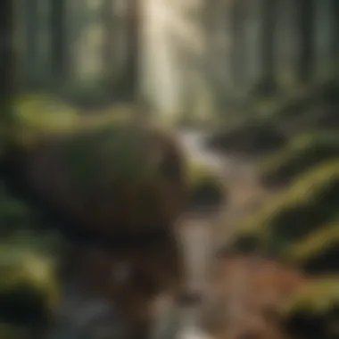 Interwoven Elements of Earth