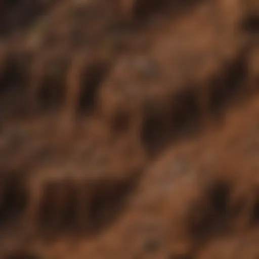 Illustration depicting intricate layers of mixed soil