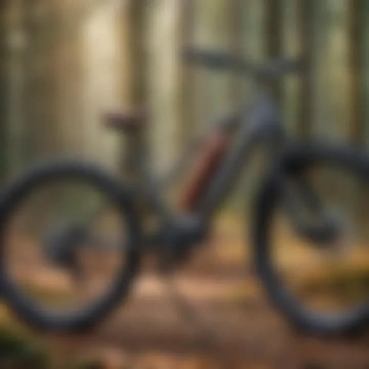 Innovative battery technology powering electric bicycle