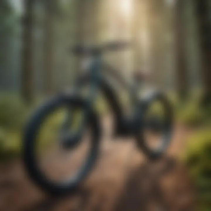 Cutting-edge ebike sharing system in action