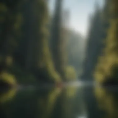 Kayakers enjoying the calm waters of the Lewis River