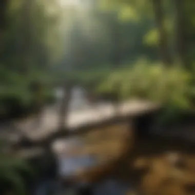 Rustic Wooden Bridge Crossing a Stream