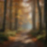 Serene Forest Trail in Autumn Serene Forest Trail in Autumn