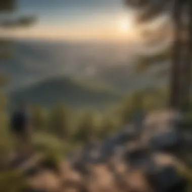 Hikers enjoying a scenic overlook on Lookout Mountain