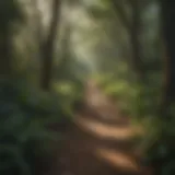 Lush green hiking trail surrounded by vibrant flora