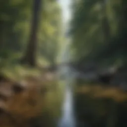 Innovative Water Management Solutions