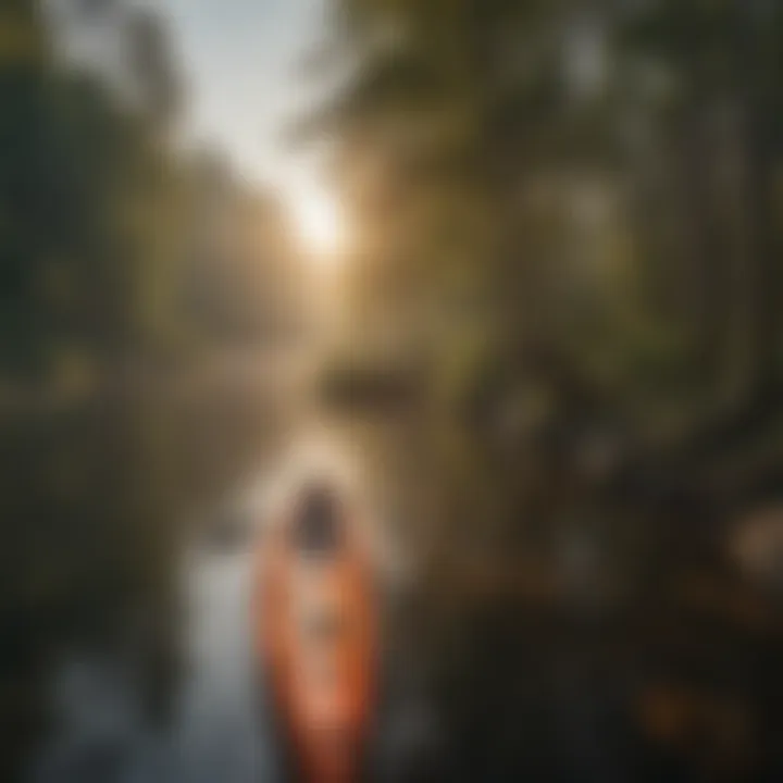 Kayaking on Serene Waters Kayaking on a serene Michigan water body