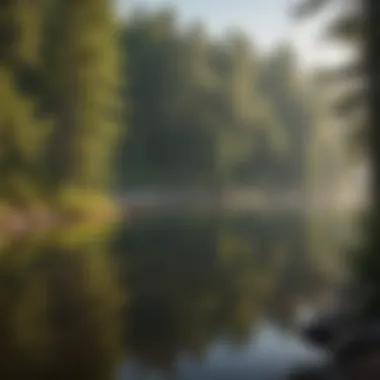 Tranquil Lake View Tranquil lake view at a Michigan campground