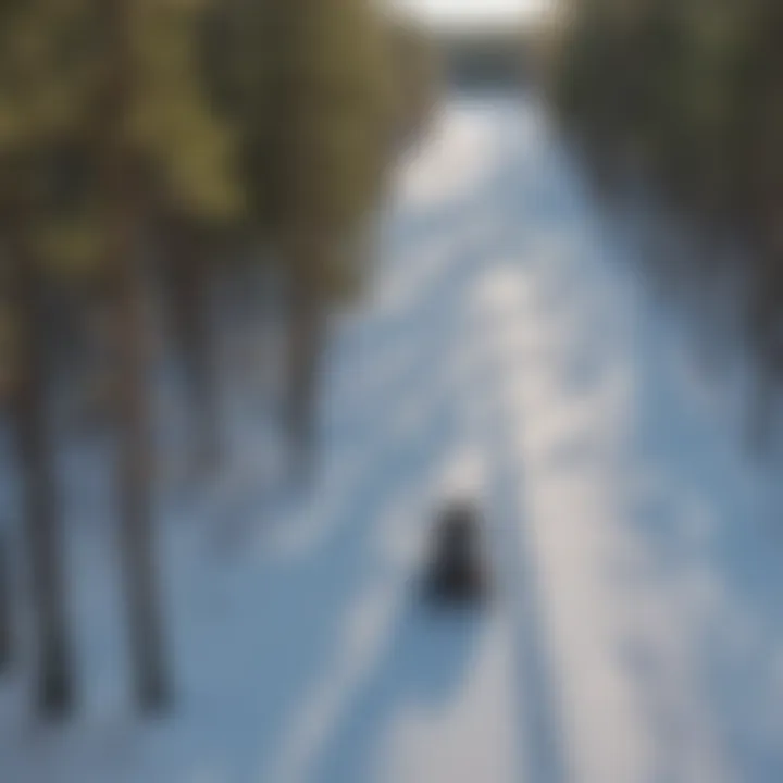 Michigan Snowmobile Trails Map Map showcasing Michigan's snowmobile trails and their features