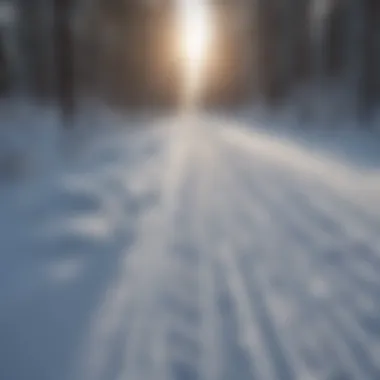 Fresh Snowmobile Tracks Close-up of snowmobile tracks in powdery snow