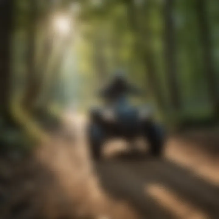 An eco-friendly trail marked for sustainable ATV riding