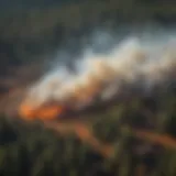 Aerial view of controlled burn demonstration in forest