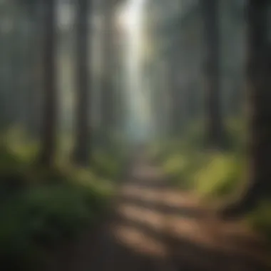 Visitors engaging with interactive exhibits at Mount St. Helens educational center