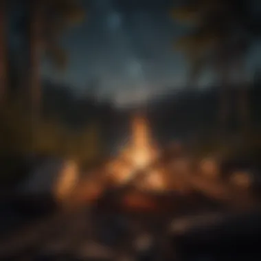 Starlit Campfire Magic A campfire glowing under a starlit sky