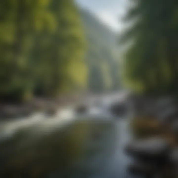 Scenic View of Nantahala River