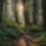 Diversity of Medicinal Flora A serene landscape showcasing diverse medicinal plants in their natural habitat.