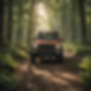 Wildlife in Off-Road Ecosystems Wildlife flourishing in off-road trail ecosystems