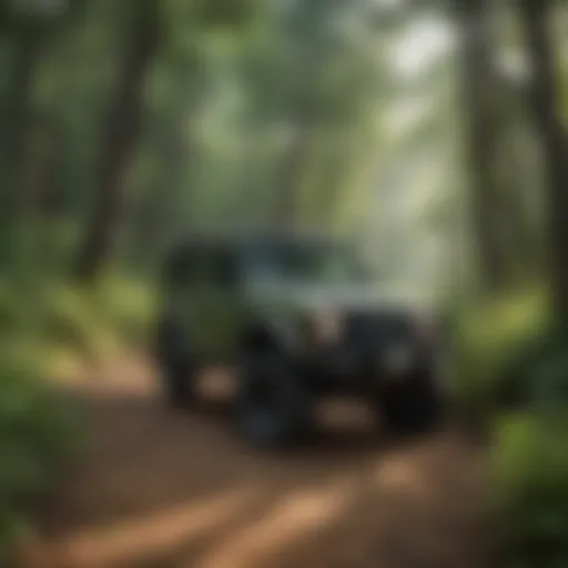 Lush Greenery Along Off-Road Trail Scenic off-road trail winding through lush greenery in Broken Bow