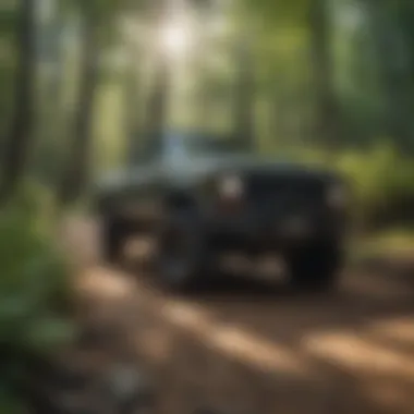 Wildlife in Off-Road Trails Wildlife seen along the off-road trails in Broken Bow