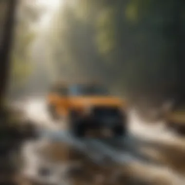 Majestic Water Crossing Amidst Wilderness