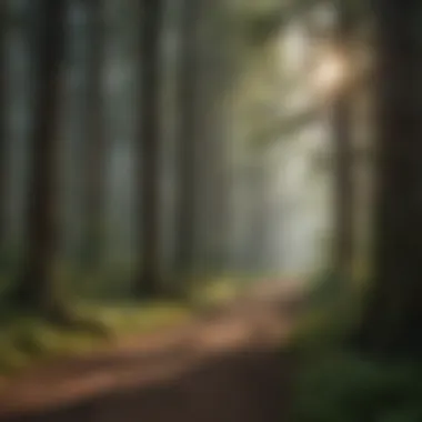 Interplay of Internal and External Factors