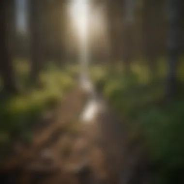 Breathtaking trails ideal for ecological conservation work