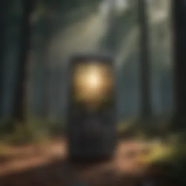 Empowering with Support Conceptual illustration of a phone emitting rays of support and assistance