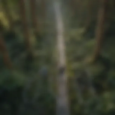 Navigating Through Information Illustration of a person navigating through a maze of phone cords