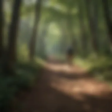Park ranger patrolling scenic trail in Connecticut park