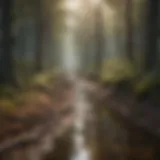 A detailed illustration of path drainage systems integrated into a forest landscape