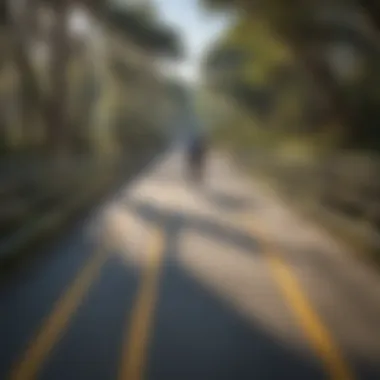 Cyclist crossing a charming bridge on a Florida paved bike path