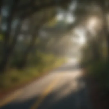 Bicycle trail winding through a coastal landscape in Florida