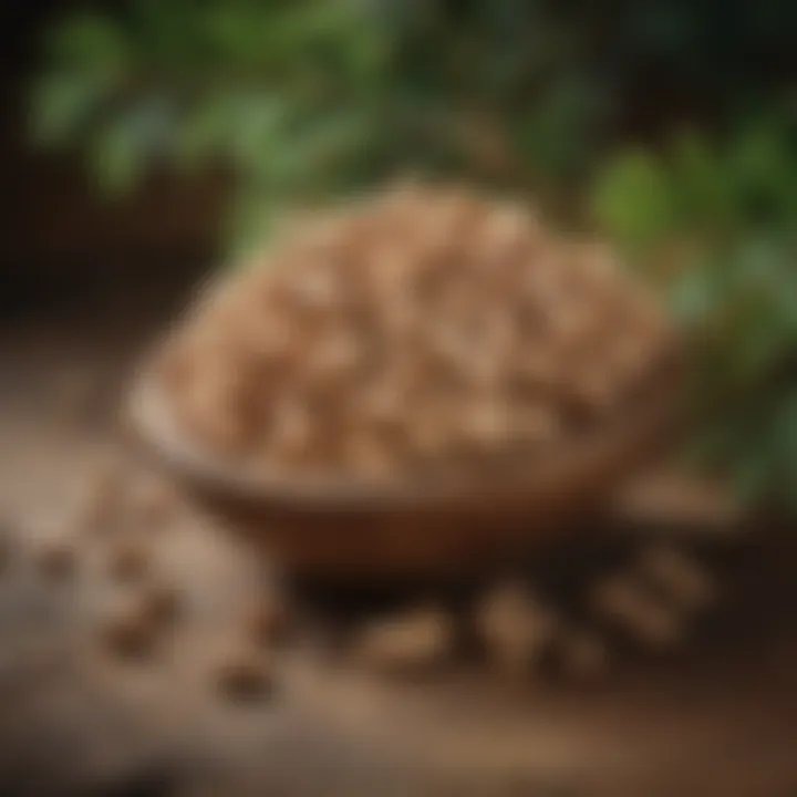 Nutritive composition chart of pine nuts