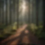 Exploring Premier 1 Fence for Sustainable and Secure Forest Enclosures Introduction