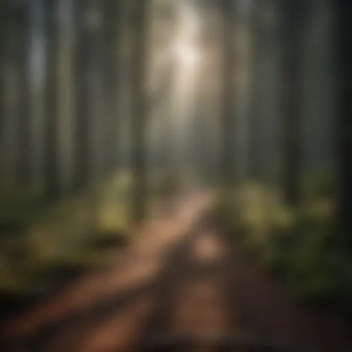 Exploring Premier 1 Fence for Sustainable and Secure Forest Enclosures Introduction