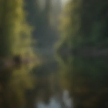 Casting Lines in the Serenity of Eagle Mountain Lake Angler casting a line into the tranquil waters of the lake