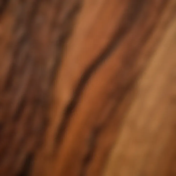 Close-up of redwood grain highlighting the natural beauty before staining