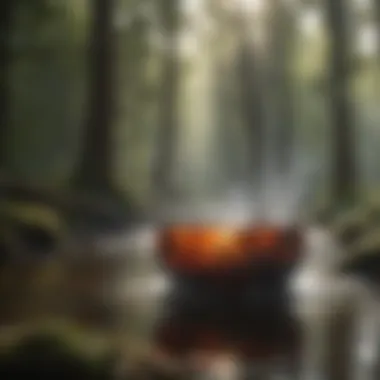 Environmental Alchemy: Transformative Water and Smoke