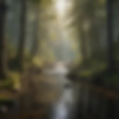 The Serenity of Forest Rivers A tranquil river flowing through a dense forest