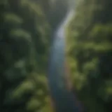 An aerial view of a river flowing through a lush green landscape