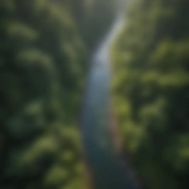 An aerial view of a river flowing through a lush green landscape