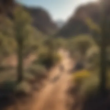 Recreational Activities at Saguaro Ranch Visitors enjoying recreational activities at Saguaro Ranch