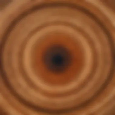 Chronicles of Growth Close-up of tree rings showing age and growth patterns