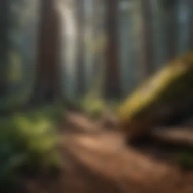 Biodiversity: The Life Within the Parks Wildlife in their natural habitat within the national park